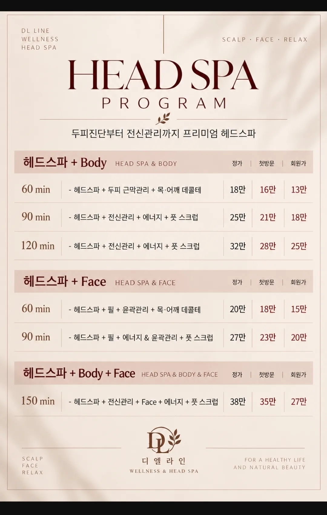 디엘라인 웰니스 헤드스파 강남 — HEAD SPA PROGRAM
